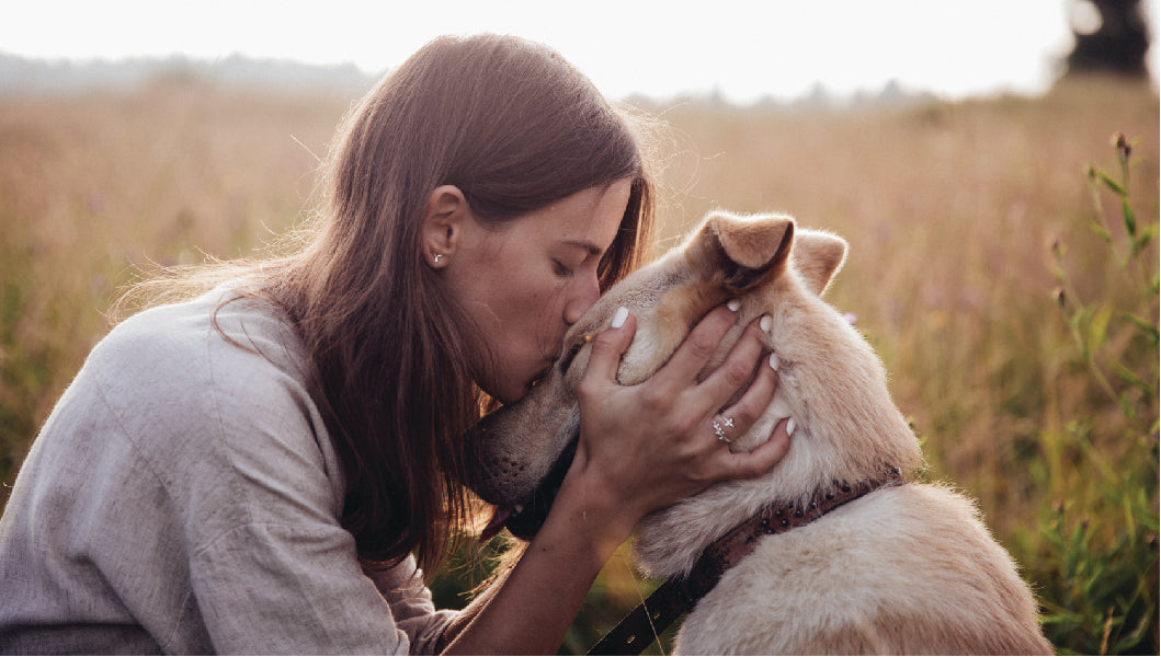 The Top 10 Foods to NEVER Feed Your Dog