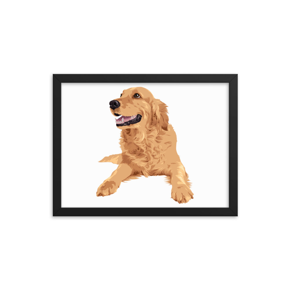 Happy Golden Retriever Framed Print