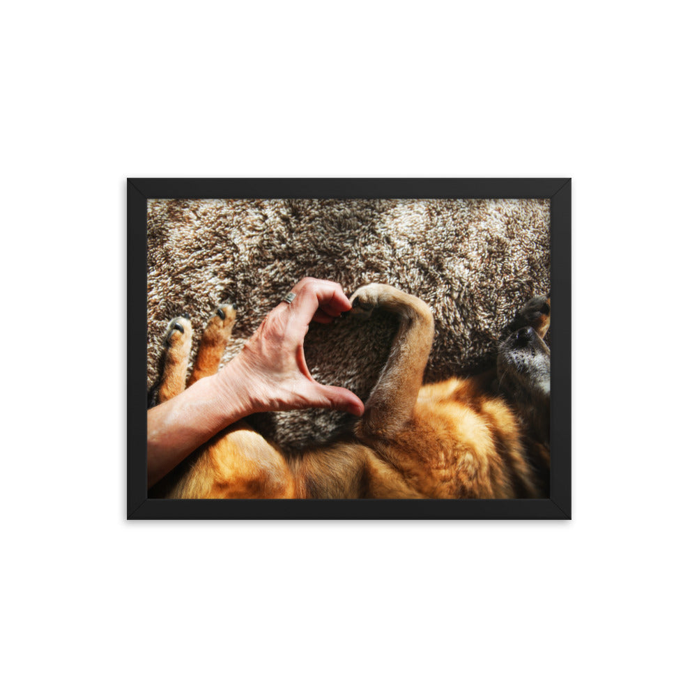 Hand &amp; Paw Heart Framed Print